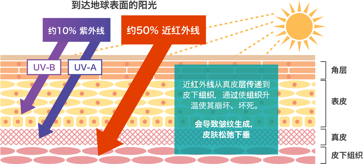 近红外线对肌肤影响的概念图示