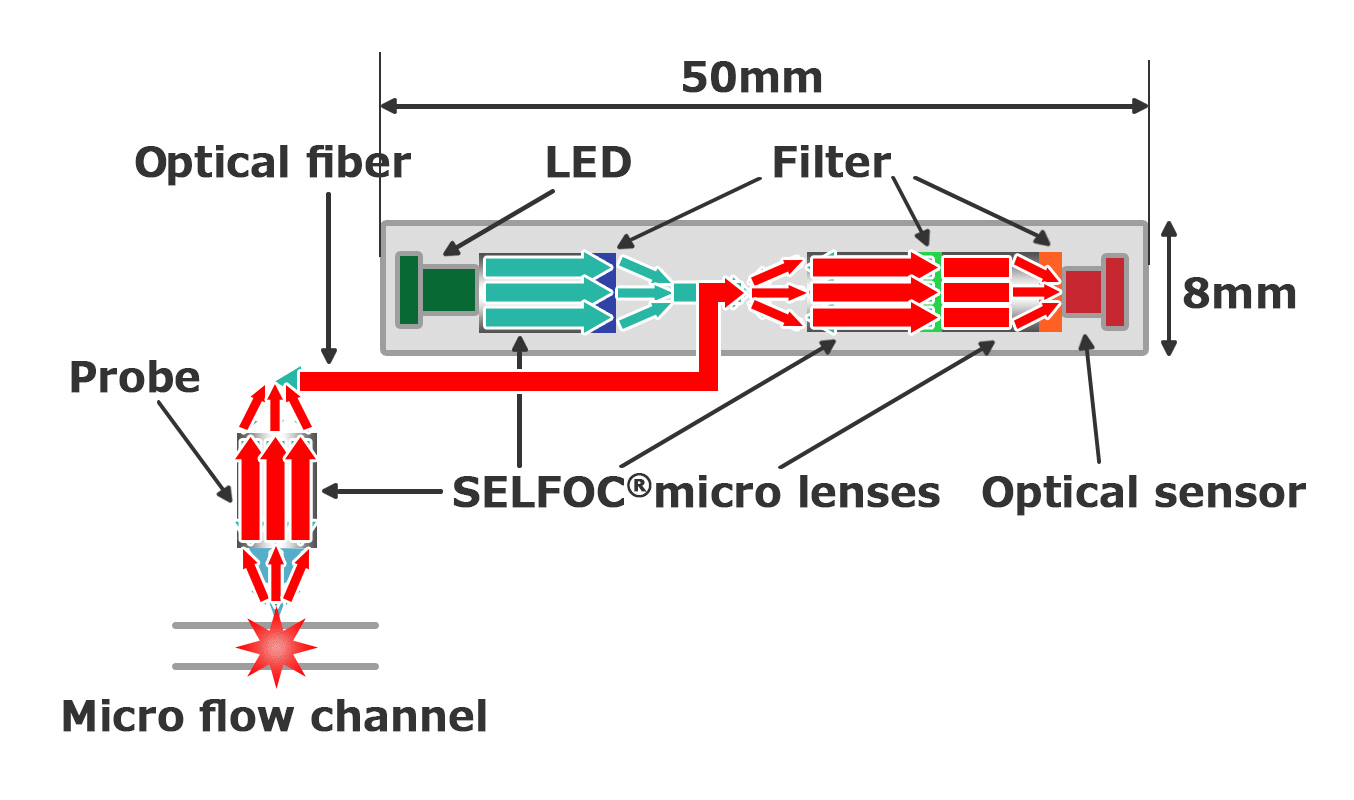 Newly-developed fluorescence detection method