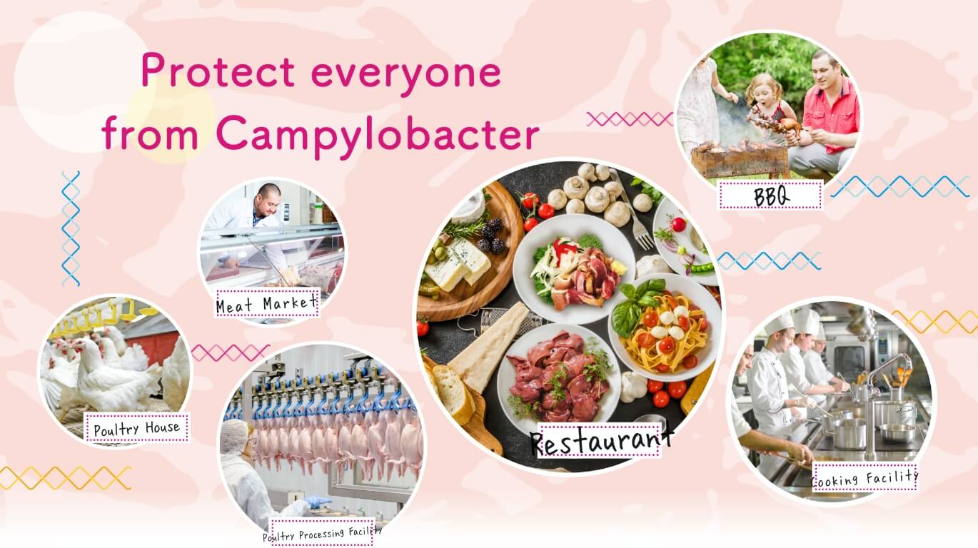 Protect from Campylobacter