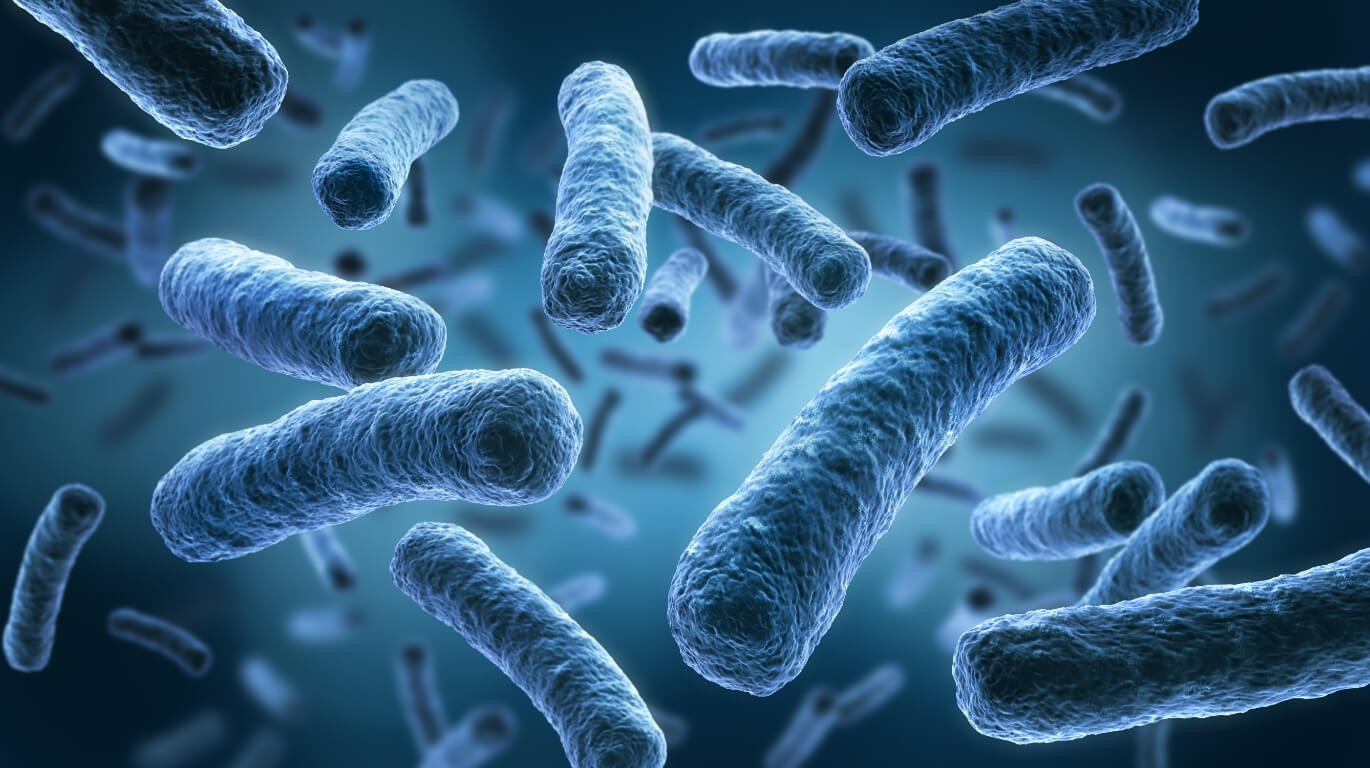 Legionella spp.