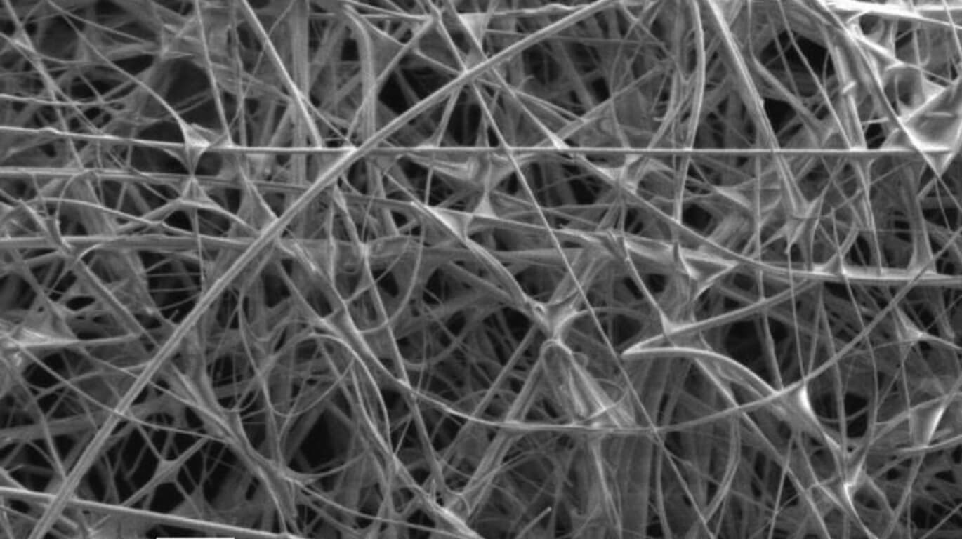 SEM image of Super Glass Paper