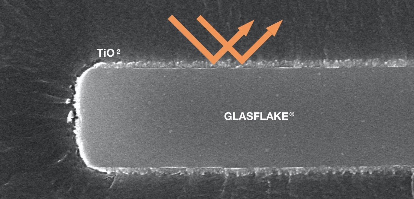 SEM image of cross-section