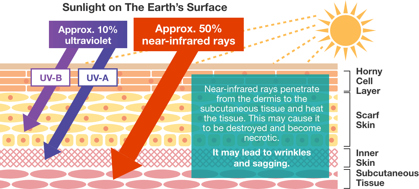 Image of the effect of near-infrared rays on the skin