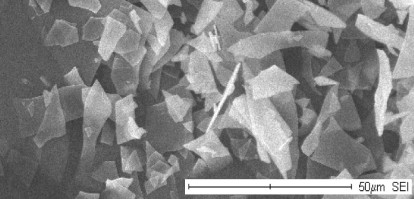 SEM image of SILKYFLAKE®