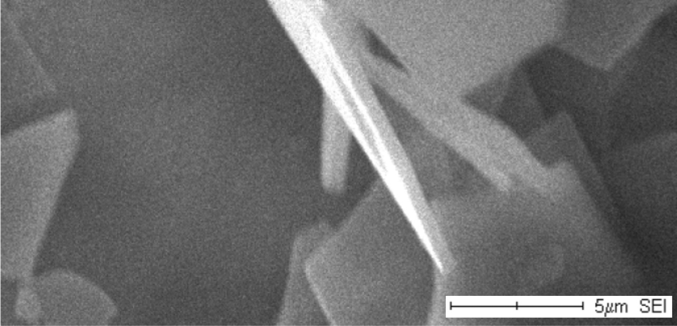 SEM image of SILKYFLAKE®