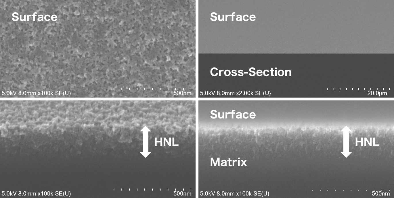 SEM Images (Porous Layer)