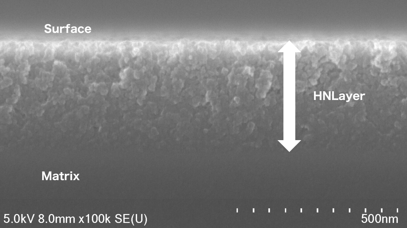 SEM images (cross-sectional image and surface image)