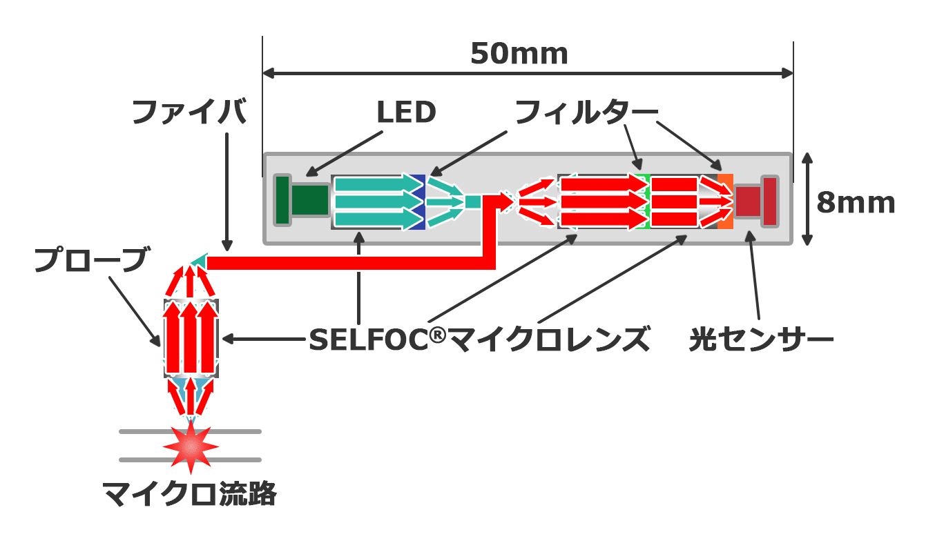 開発した蛍光検出法