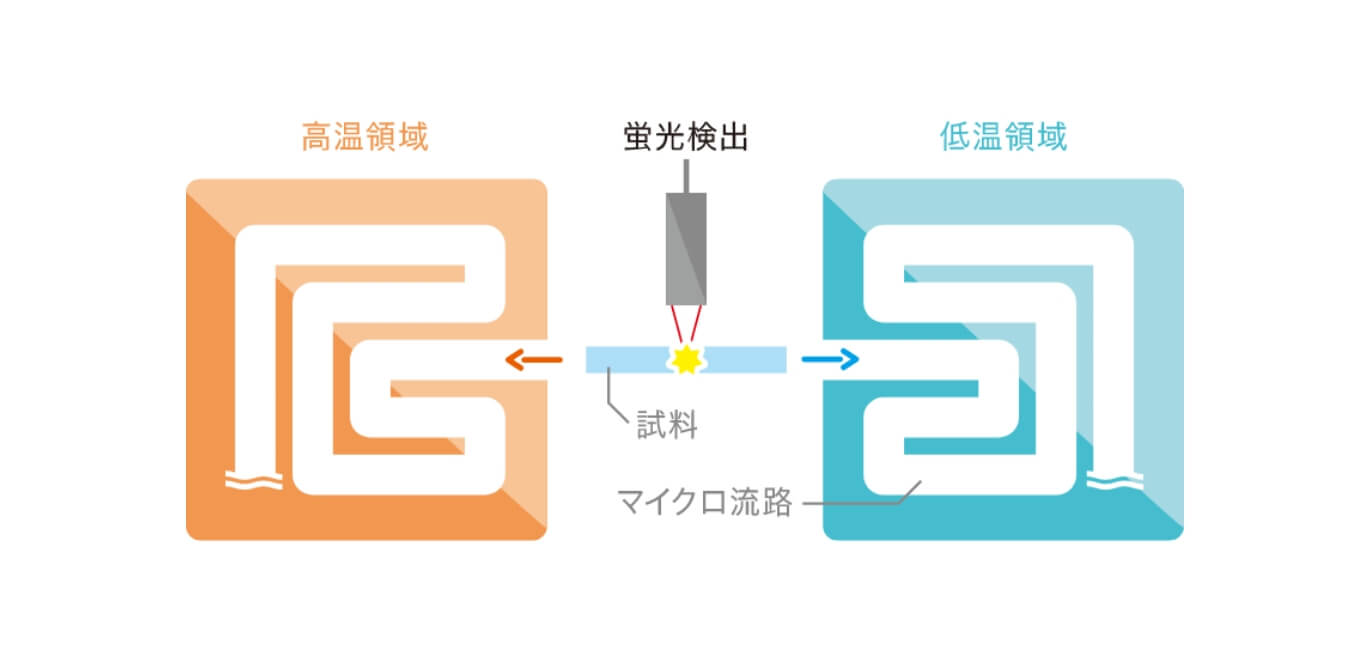 開発した温度制御法