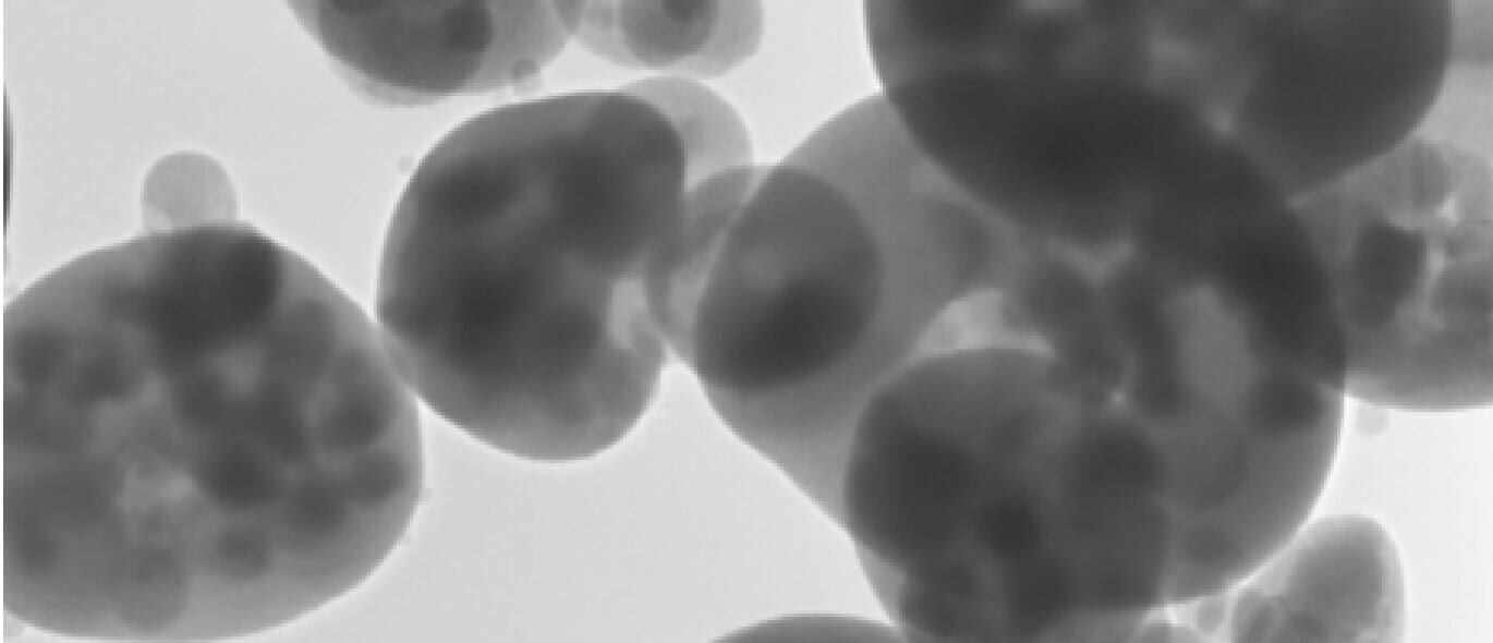 i-NAFLECS®のSEM画像